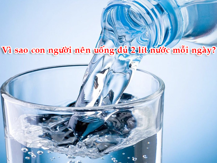 Vì sao con người nên uống đủ 2 lít nước mỗi ngày?