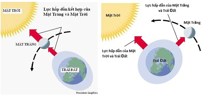 Vì sao có hiện tượng thủy triều?