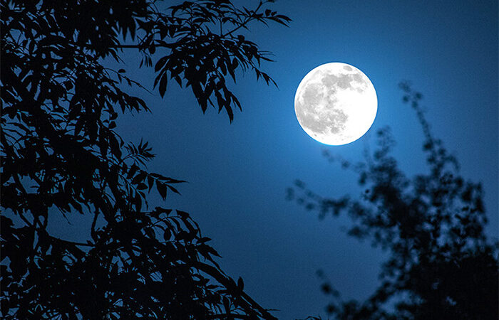 Vì sao vào đêm rằm trăng lại sáng và tròn hơn?